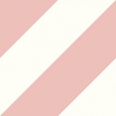 EC.ZEBRA PINK (1 сорт)