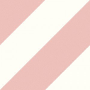 EC.ZEBRA PINK (1 сорт)