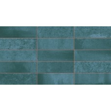 EC.NEXTI TURQUOIS (1 сорт)